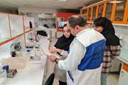 اشتغالزایی 13 نفر به عنوان مسئول فنی بهداشتی دامپزشکی در شهرستان رزن در مراکز مختلف به کارگیری شده اند